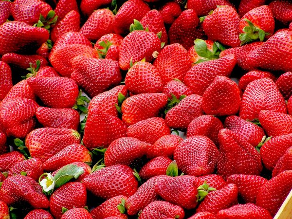 Quels sont les secrets pour une mousse de fruits rouges légère et onctueuse?